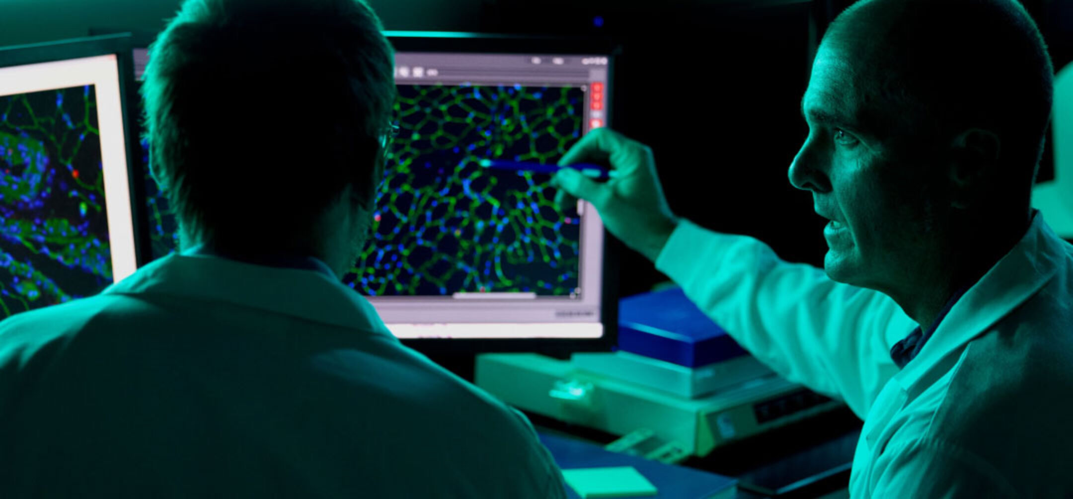 Two scientists reviewing results on two computer screens