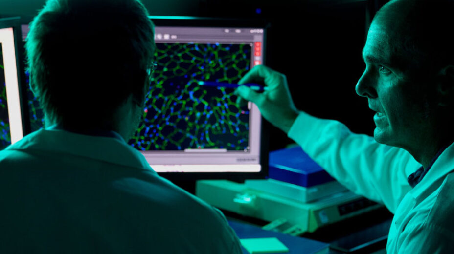 Two scientists reviewing results on two computer screens