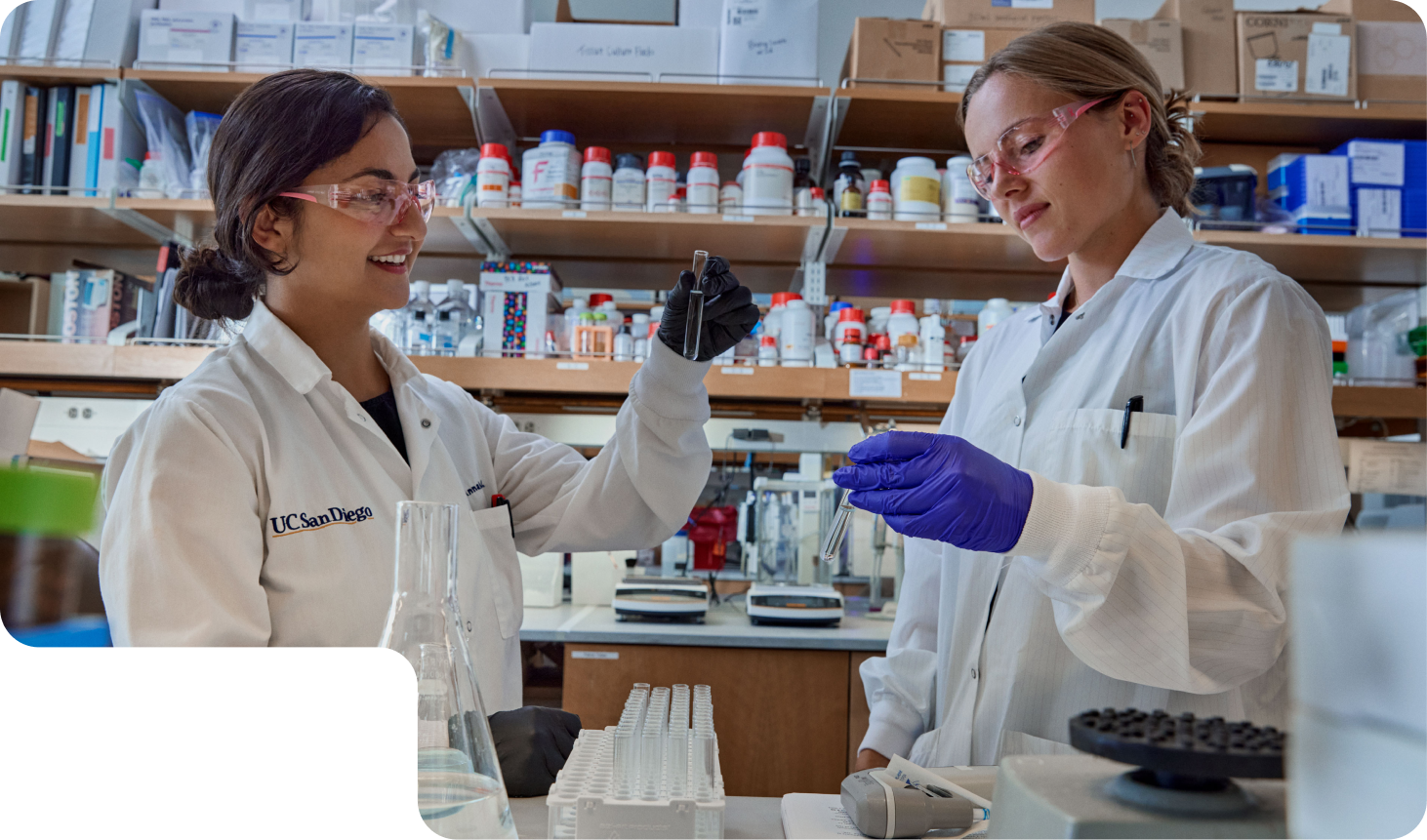 Two female scientists review the contents of test tubes in a lab.
