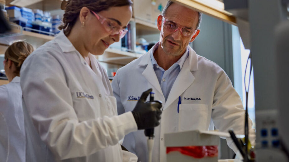 Two scientists working together